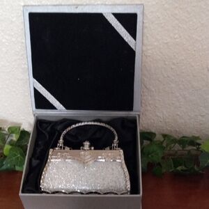 Glamorous Silver Clutch